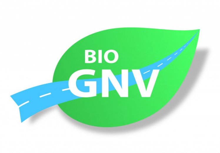 Logo BioGNV
